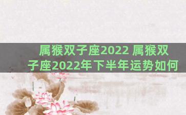 属猴双子座2022 属猴双子座2022年下半年运势如何